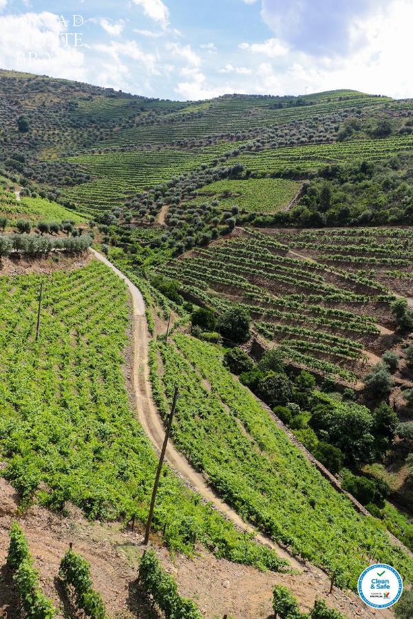 Quinta Do Monte Bravo - Douro - Quarto Duplo Ervedosa do Douro Exterior photo